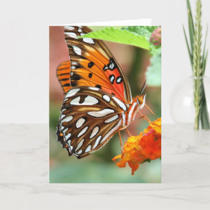 De Vlinder van Fritillary van de golf Kaart