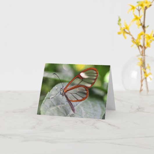 De Vlinder van Glasswing notecard Kaart (Gele Bloem)