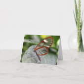 De Vlinder van Glasswing notecard Kaart (Voorkant)