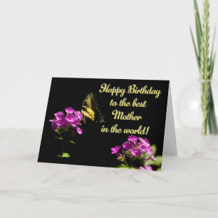 De Vlinder van Swallowtail van de tijger op Flox - Kaart