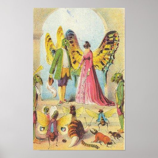 De vlinderbak poster (Voorkant)