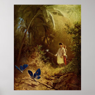 De vlinderjager poster
