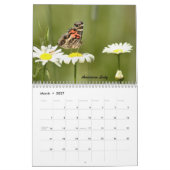 De vlinders van de Catskills Kalender (Mar 2027)