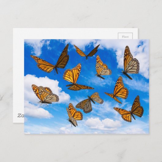 De vlinders van de monarch in de hemel briefkaart (Voorkant / Achterkant)