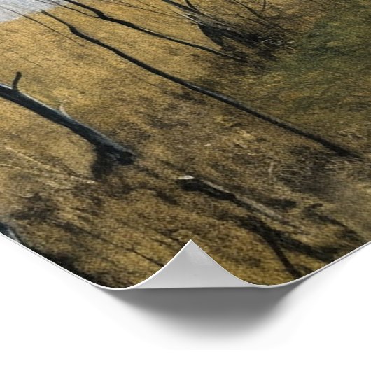 De vloten van de duivel trekken poster (Hoek)