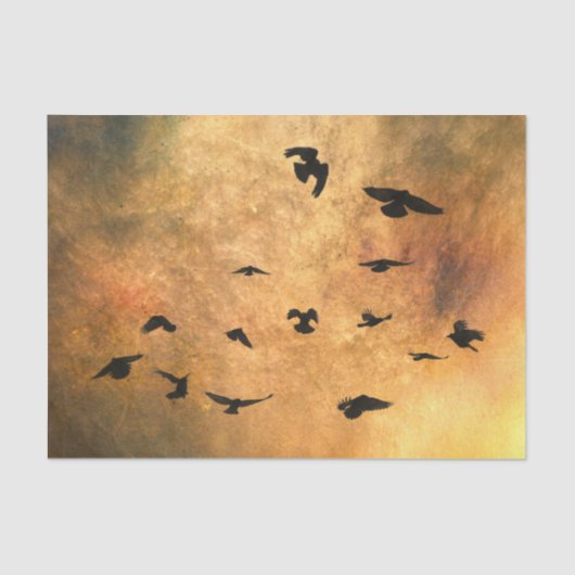 De vlucht tissuepapier (Voorkant)