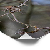 De vlucht van de blauwe mees perfect poster (Hoek)