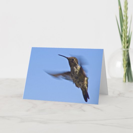 De vlucht van de kolibrie kaart (Voorkant)