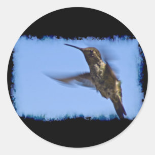 De vlucht van de kolibrie ronde sticker
