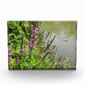 De vlucht van de witte vlinder fotoblokken (Voorkant)