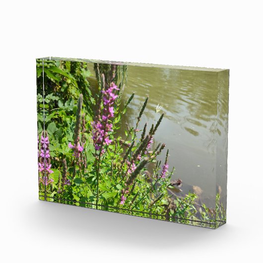 De vlucht van de witte vlinder fotoblokken (Rechts)