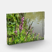 De vlucht van de witte vlinder fotoblokken (Links)