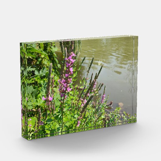 De vlucht van de witte vlinder fotoblokken (Links)