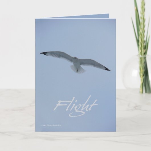 De Vlucht van de zeemeeuw Kaart (Voorkant)
