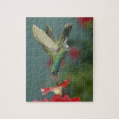 de voeding van de man aan Petunia, Madera Canyon,  Legpuzzel (Verticaal)