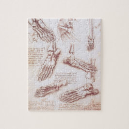 De voetbeenderen in de menselijke anatomie van Leo Legpuzzel
