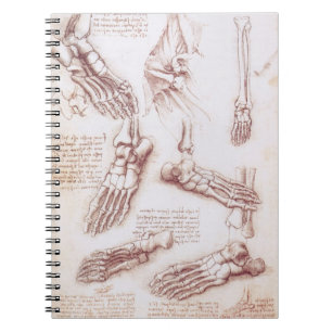 De voetbeenderen in de menselijke anatomie van Leo Notitieboek