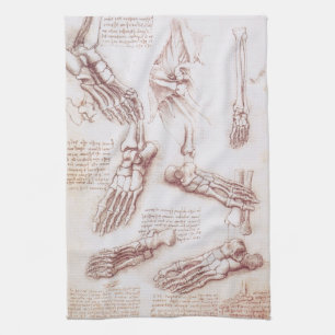 De voetbeenderen in de menselijke anatomie van Leo Theedoek