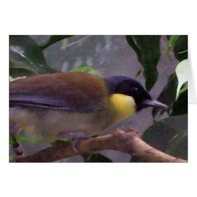 De vogel (Voorkant Horizontaal)