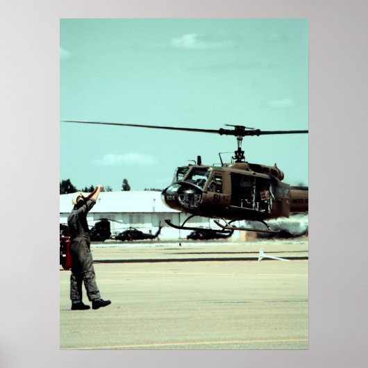 De vogel aan land brengen poster (Voorkant)