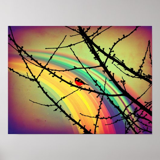 De vogel en de regenboog poster (Voorkant)