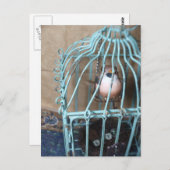 De Vogel houdt de Sleutel Briefkaart (Voorkant / Achterkant)