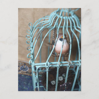 De Vogel houdt de Sleutel Briefkaart