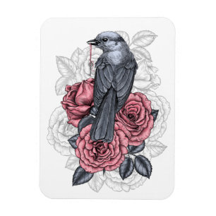 De vogel met de zilveren sleutel magneet