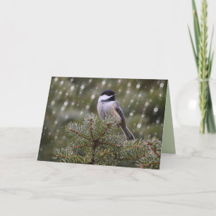 De Vogel van Chickadee in de Sneeuwvlokken van de Feestdagen Kaart