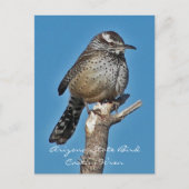 De Vogel van de Staat van Arizona Briefkaart (Voorkant)