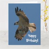 De Vogel van de visarend & het Wenskaart van de Kaart (Gele Bloem)