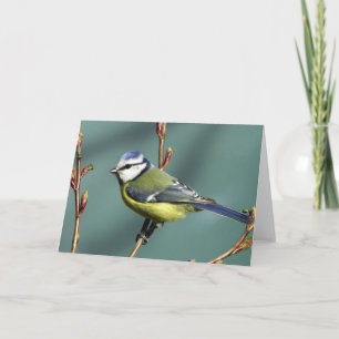 De Vogel van het lied Kaart