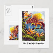 De vogel van het Paradijs Briefkaart (Voorkant / Achterkant)