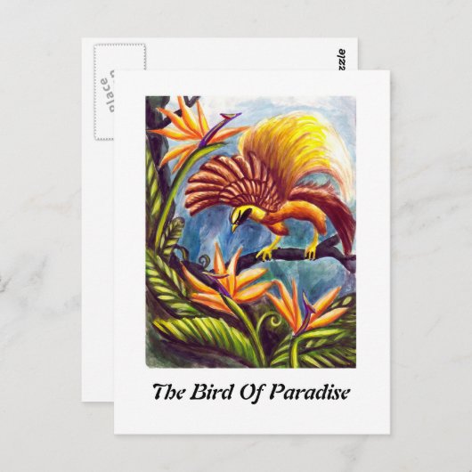 De vogel van het Paradijs Briefkaart (Voorkant / Achterkant)