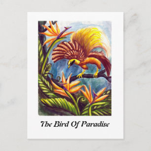 De vogel van het Paradijs Briefkaart