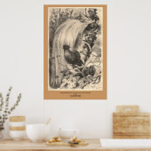 De vogel van het Paradijs, Sifilet, Manucaude Roya Poster (Keuken)