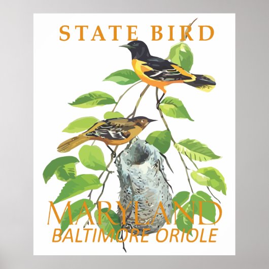 De vogel van het territorium van Maryland, de Icte Poster (Voorkant)