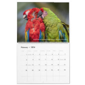 De vogelfotografie van Tom Spine ~ Kalender 2019 (Feb 2026)