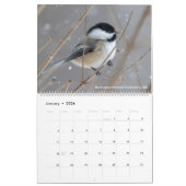 De vogelfotografie van Tom Spine ~ Kalender 2019 (Jan 2026)