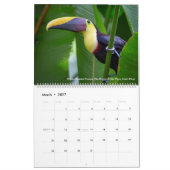 De vogelfotografie van Tom Spine ~ Kalender 2019 (Mar 2027)