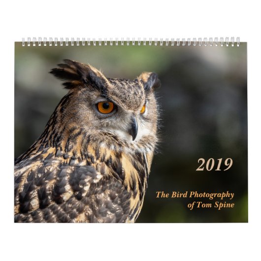 De vogelfotografie van Tom Spine ~ Kalender 2019 (Hoes)