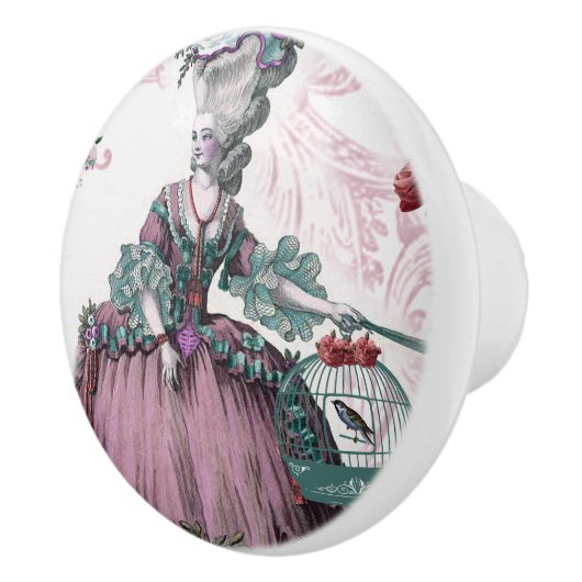 De vogelkooi Marie Antionette-Fransman inspireerde Keramische Knop (Rechts)