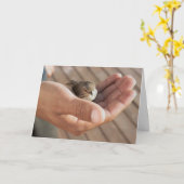 De vogelOog van de mus op het muswenskaart Kaart (Gele Bloem)