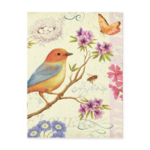 De vogels en de bijen