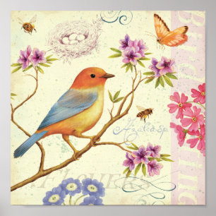 De vogels en de bijen poster