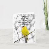 DE VOGELS IN DE BOE IS VERSCHIJND ZOALS KAN. KAART (Voorkant)