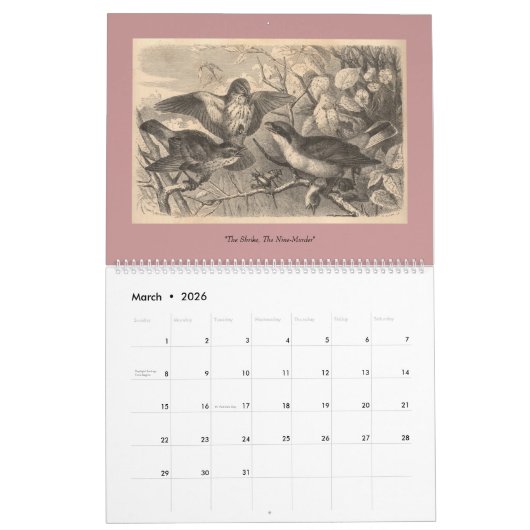 De vogels van Brehm Kalender (Mar 2026)