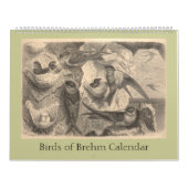 De vogels van Brehm Kalender (Hoes)