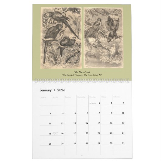 De vogels van Brehm Kalender (Jan 2026)