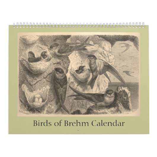 De vogels van Brehm Kalender (Hoes)